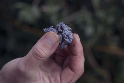 Close-up of hand holding leaf against blurred background