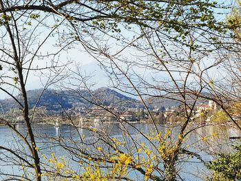 Low angle view of bare tree by lake against sky