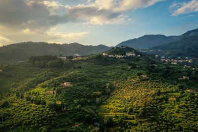 High angle view of winyards at sunset tuscany, italy 