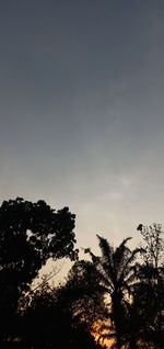 Low angle view of silhouette trees against sky