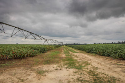 Scenic view of field against cloudy sky