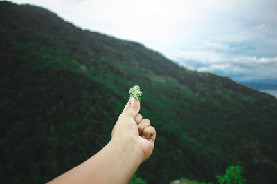 Hand holding plant against mountain