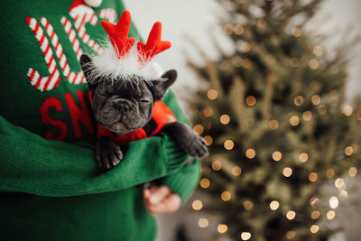 Midsection of man with dog