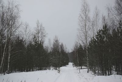 Trees on snow covered landscape against sky