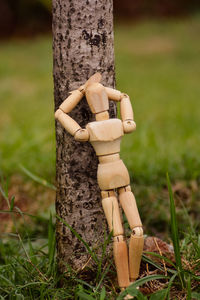 Close-up of tree trunk on field