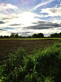 Scenic view of field against sky