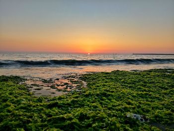 Scenic view of sea against clear sky during sunset