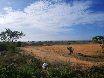 Scenic view of field against sky