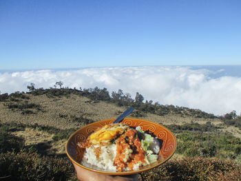 Panoramic shot of food on land against sky