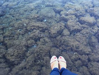 Low section of woman standing by water