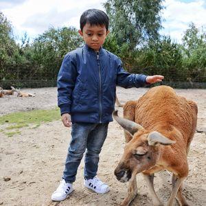 Full length of boy standing with kangaroo at zoo