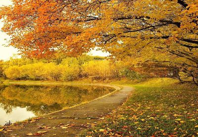 Road amidst trees during autumn