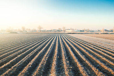 Winter farm field ready for new planting season. agriculture and agribusiness.