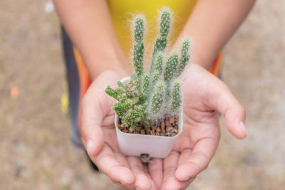 Small cactus pot in kid's hands