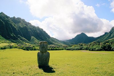 Stone on grassy field against mountains