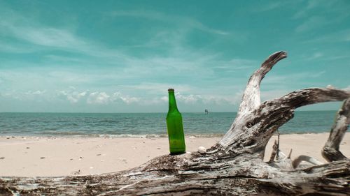 Tree by bottle on beach against sky