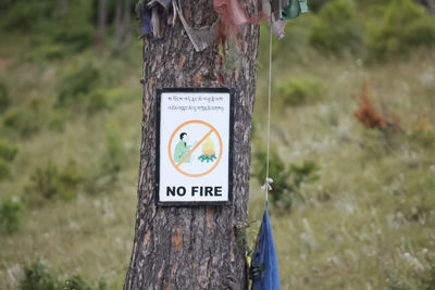 Close-up of information sign against tree trunk