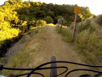 Railroad track amidst trees