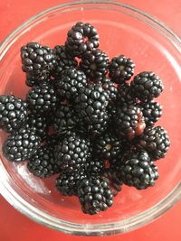 High angle view of berries in bowl