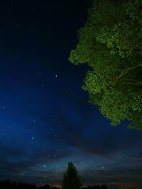 Low angle view of trees against sky at night