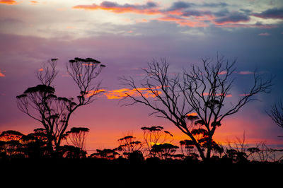 Silhouette plants on field against romantic sky at sunset