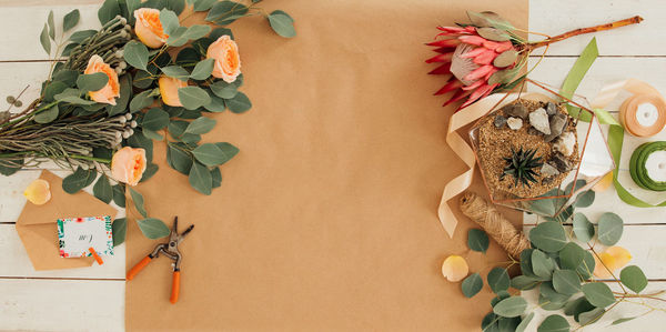 Close-up of flowering plant on table against wall