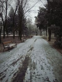 Snow covered road in city