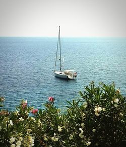 Boats in sea