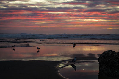 Silhouette man by sea against sky during sunset