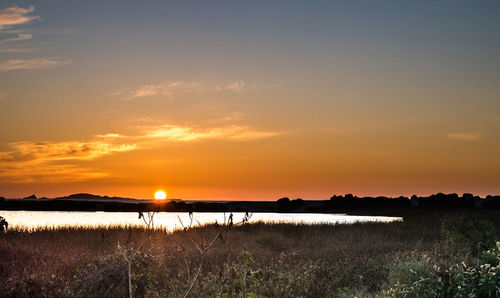 Scenic view of sunset