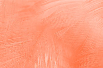 Beautiful lush lava orange-white colors trend feather texture background, trends color