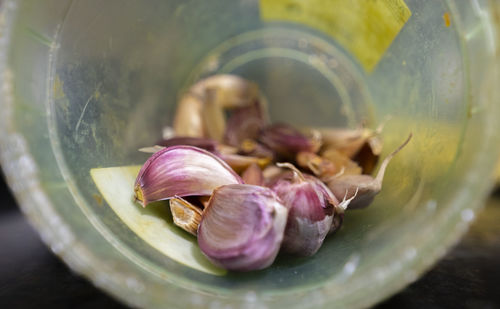 Close-up of purple served in glass bowl on table