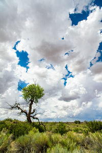 Scenic view of field against cloudy sky