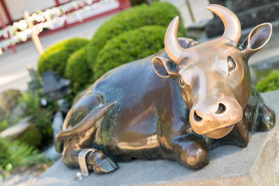 Close-up of lion statue