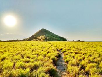 Scenic view of land against sky