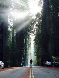 Rear view of man walking on street amidst trees