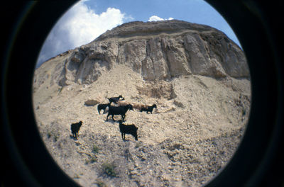 View of landscape against sky