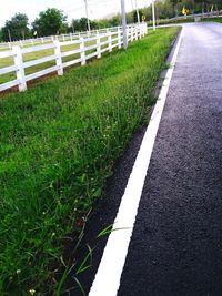 Empty road amidst grassy field