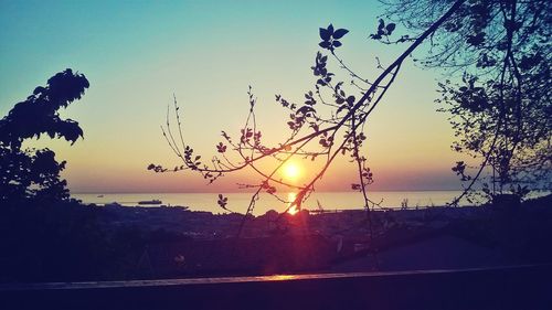 Close-up of silhouette tree against sea at sunset