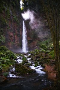 View of waterfall in forest