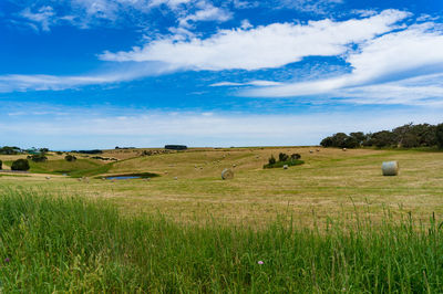 Hay bales on field against sky