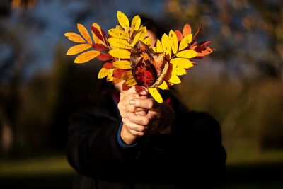 Person holding autumn leaves while standing on field