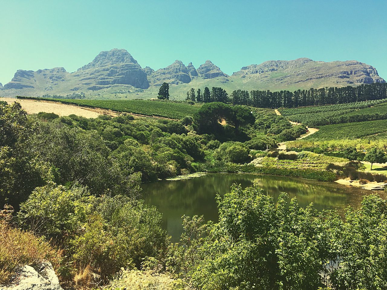 SCENIC VIEW OF MOUNTAINS AGAINST CLEAR SKY