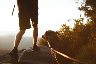 Low section of man standing with dog on rock against sky