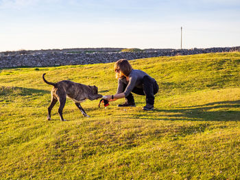 View of a dog on landscape