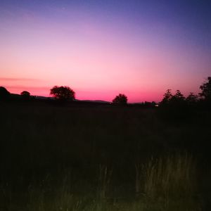 Silhouette trees on field against sky at sunset