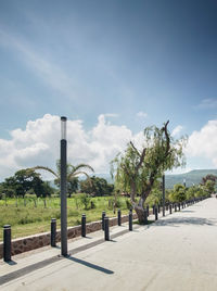 A lagoon, with boats in the background, a white horse eating, a pergola and 