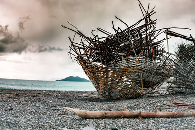 Driftwood on beach against sky