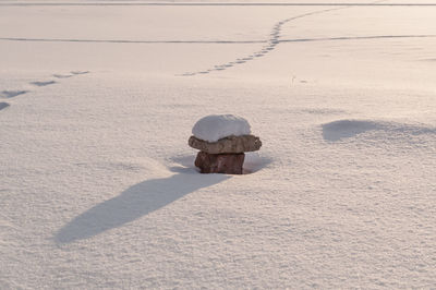 High angle view of snow on land