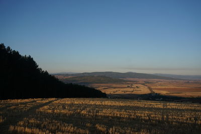 Scenic view of field against clear sky